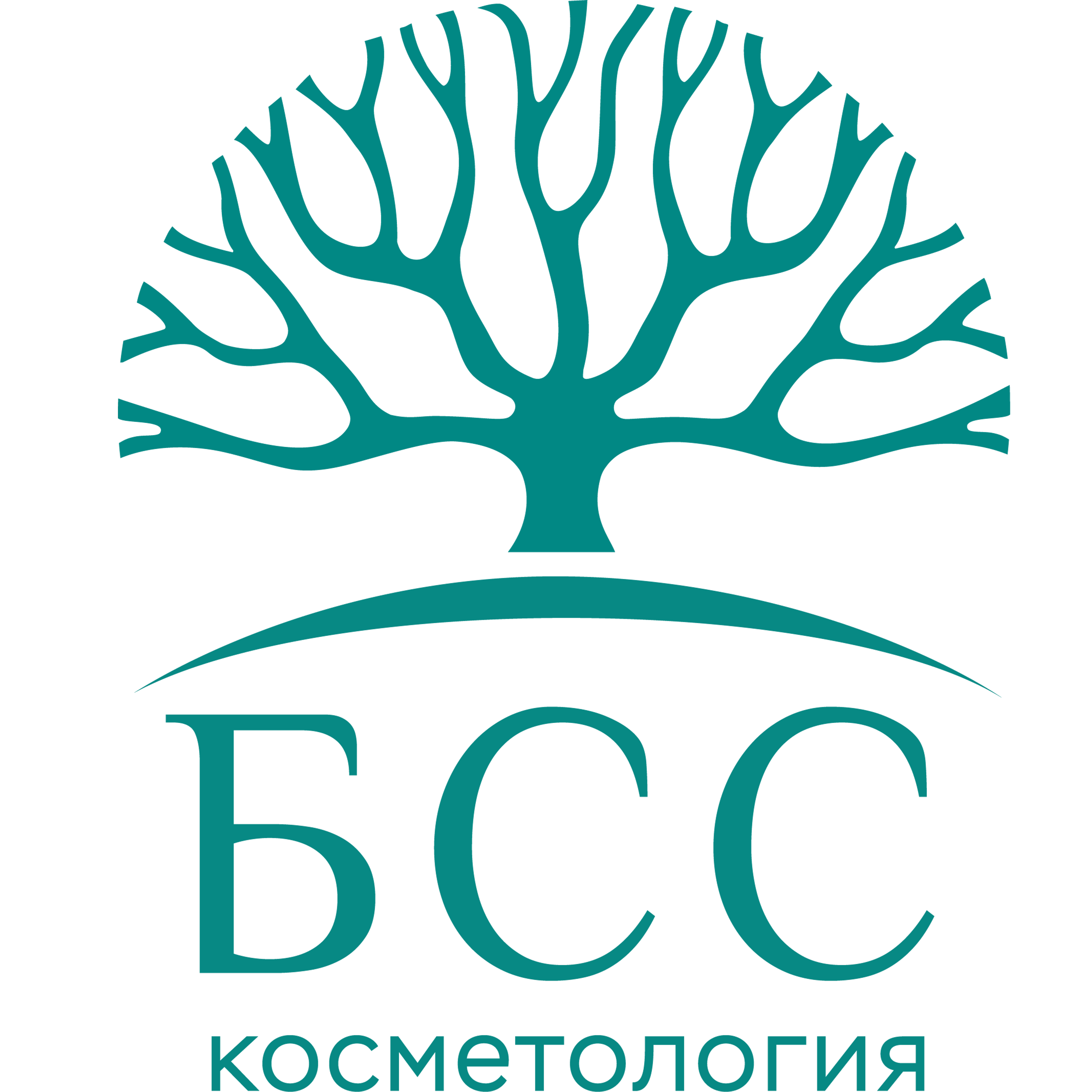 БСС